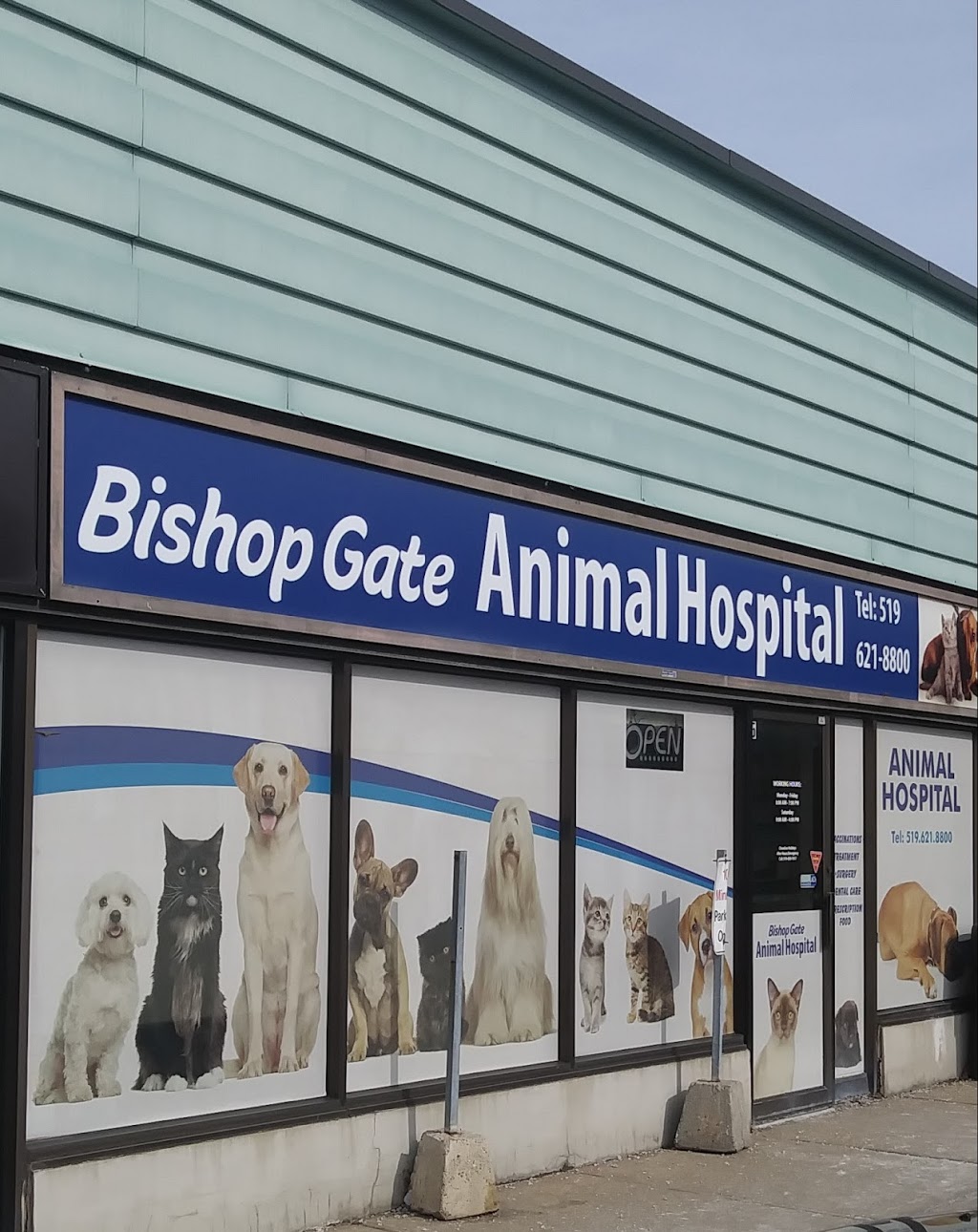 Bishop Gate Animal Hospital | 425 Hespeler Rd, Cambridge, ON N1R 6J2, Canada | Phone: (519) 621-8800