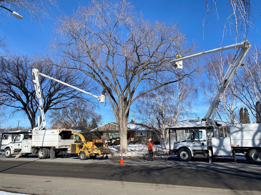 Rosscos Tree Service & Contracting Ltd. | 401 Clark Ave, Lethbridge, AB T1K 8H4, Canada | Phone: (403) 327-2201