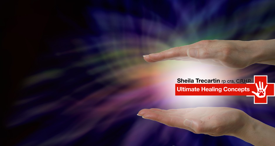 Sheila Trecartins Ultimate Healing Concepts | 2 King St N, Cookstown, ON L0L 1L0, Canada | Phone: (705) 291-1100