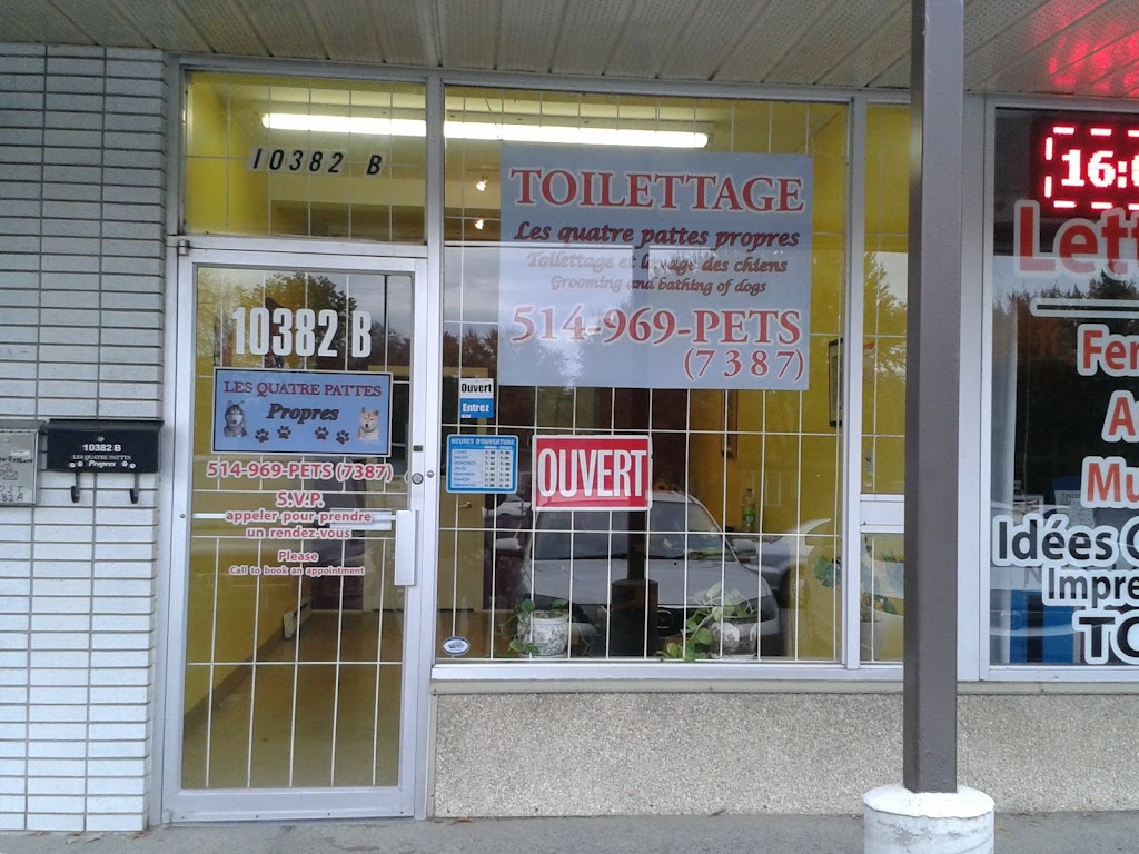 Les Quatre Pattes Propres | 10382 Boul Gouin O, Roxboro, QC H8Y 1S3, Canada | Phone: (514) 969-7387