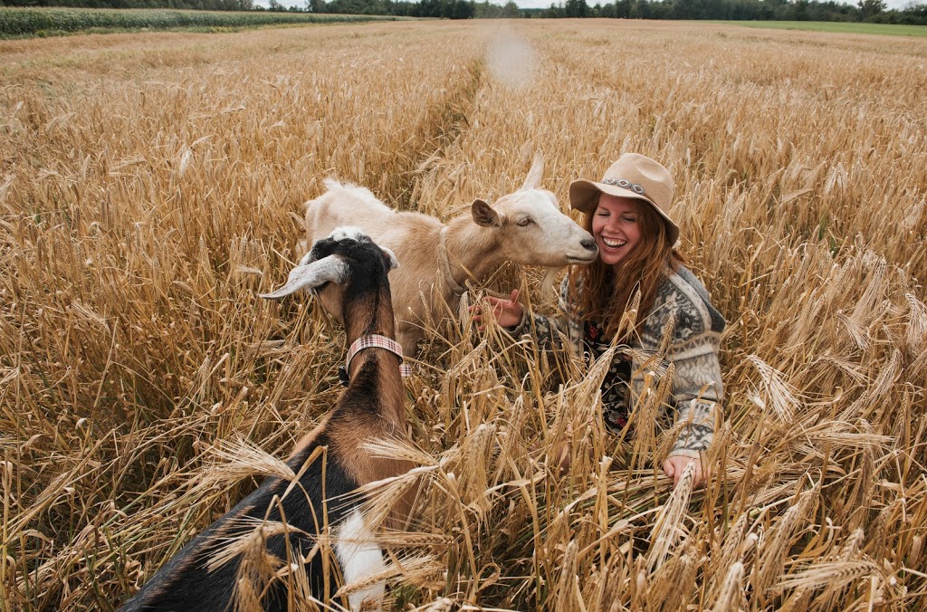 savon de Campagne | 1018 Chemin Allard, Sainte-Brigitte-des-Saults, QC J0C 1E0, Canada | Phone: (819) 818-5150