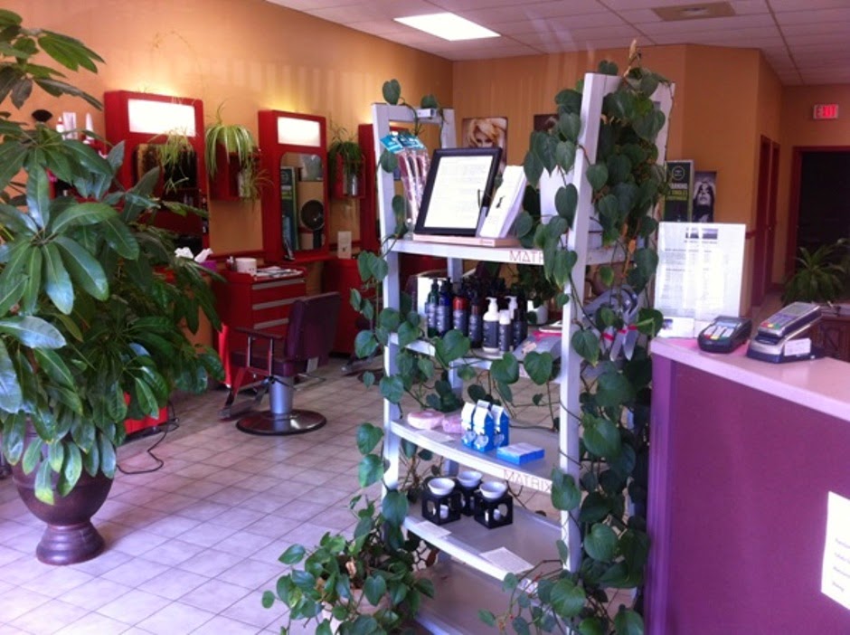 salon117 hair design | Lake City Plaza, 117 Main St, Dartmouth, NS B2X 1R6, Canada | Phone: (902) 462-5911