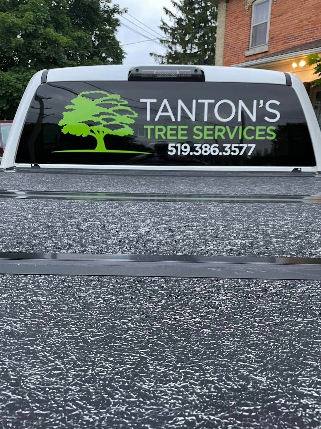 Tantons Tree Services | 96 Brook St, Tara, ON N0H 2N0, Canada | Phone: (519) 386-3577