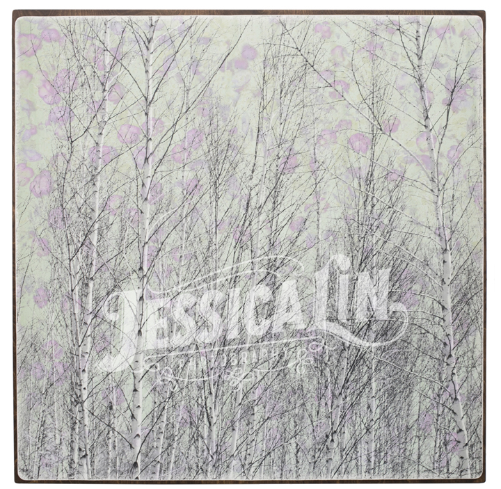 Jessica Lin Photography | 789 Lisk Rd, Killaloe, ON K0J 2A0, Canada | Phone: (416) 806-1585