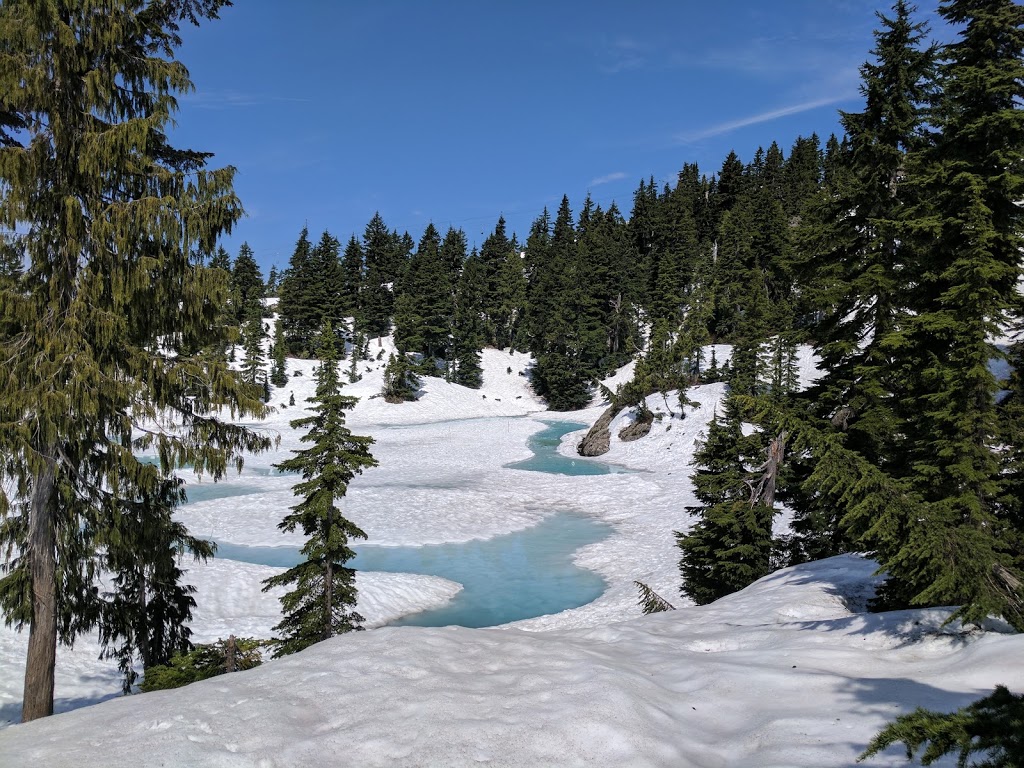 Mount Seymour Provincial Park | Mt Seymour Rd, North Vancouver, BC V7G 1L3, Canada | Phone: (604) 986-9371