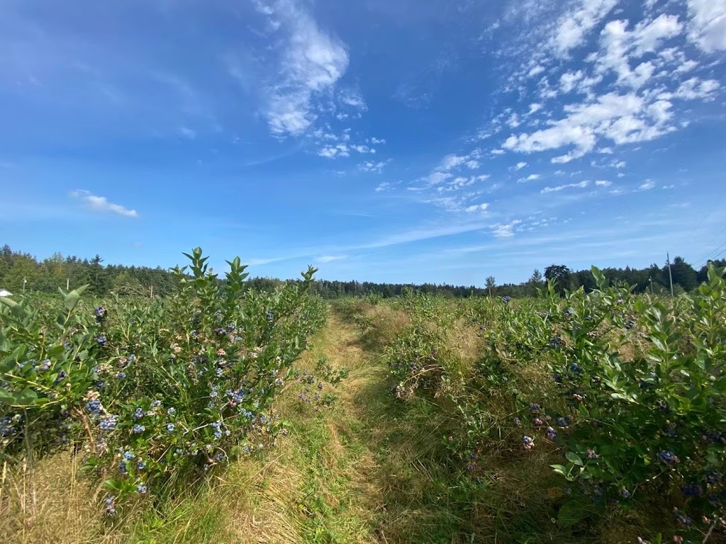 Haslam Creek Berry Farm-certified organic blueberry | 2900 Rugby Road, Nanaimo, BC V9X 1T2. Or, 2900 Beck Rd, Nanaimo, BC V9X 1T2, Canada | Phone: (250) 797-0623