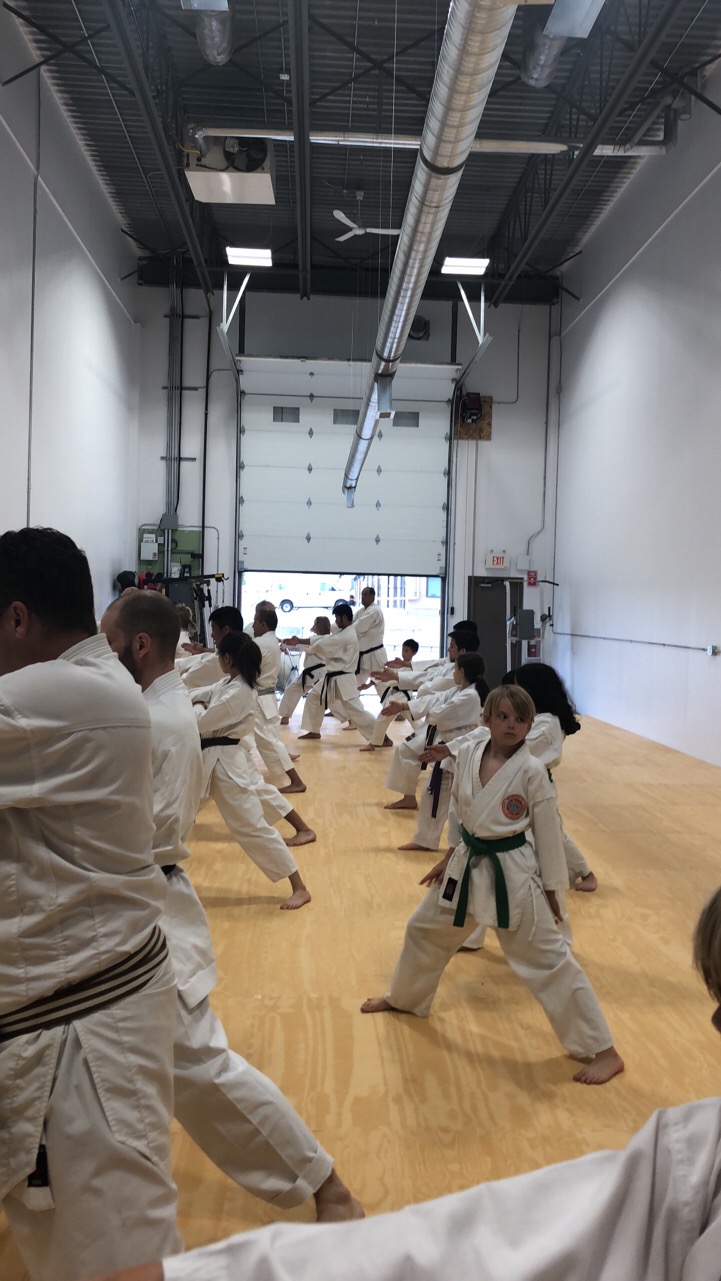 Osuna Karate Springbank Dojo | 141 Commercial Dr #3, Calgary, AB T3Z 2A7, Canada | Phone: (403) 807-1425