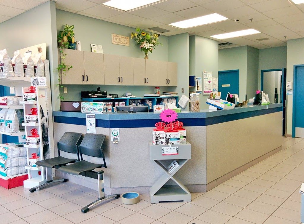 VCA Canada Lakeshore Animal Hospital | 872 Lakeshore Rd E, Mississauga, ON L5E 1E1, Canada | Phone: (905) 278-4580