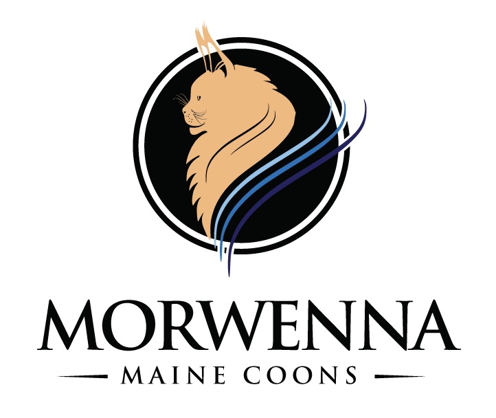 Morwenna Maine Coons | Box 4 Site 14 RR 1, Westlock, AB T7P 2N9, Canada | Phone: (780) 307-8122