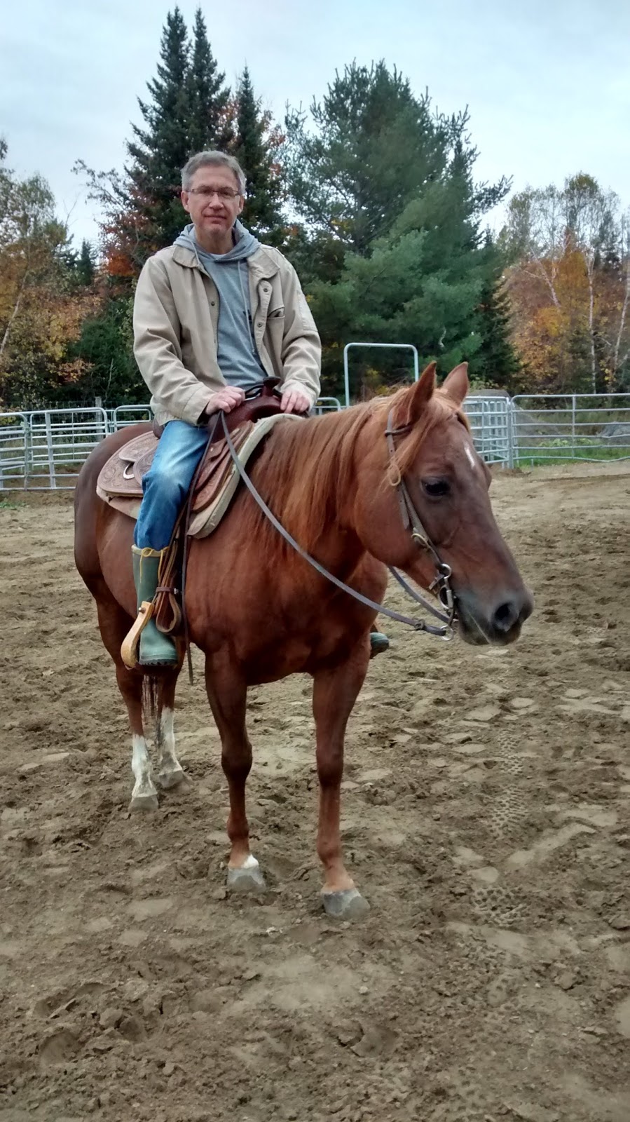 Corinne Gadras - Équitation R+ | 35 Rang Petit Fossambault, Pont-Rouge, QC G3H 2L8, Canada | Phone: (581) 984-1154