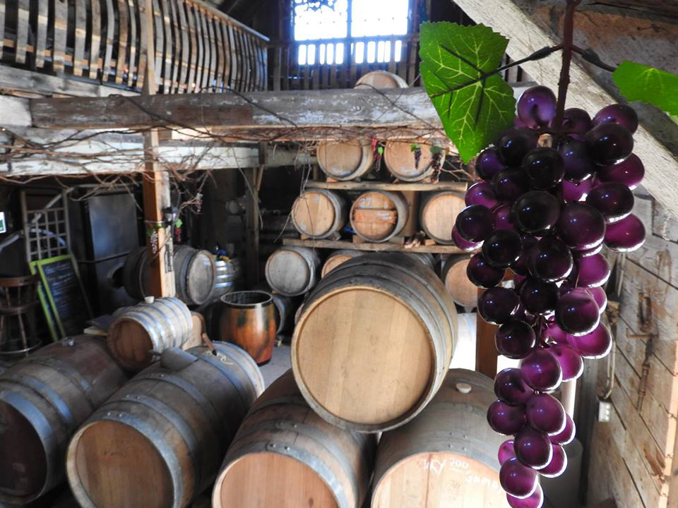 Black Prince Winery & Canadian Vinegar Cellars - Century Barn &  | 13370 Loyalist Pkwy, Picton, ON K0K 2T0, Canada | Phone: (613) 476-4888