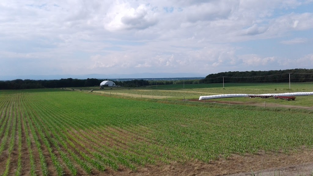 Ferme Féodal | 125 Rang des Fiefs, Saint-Raphaël, QC G0R 4C0, Canada | Phone: (418) 243-2012