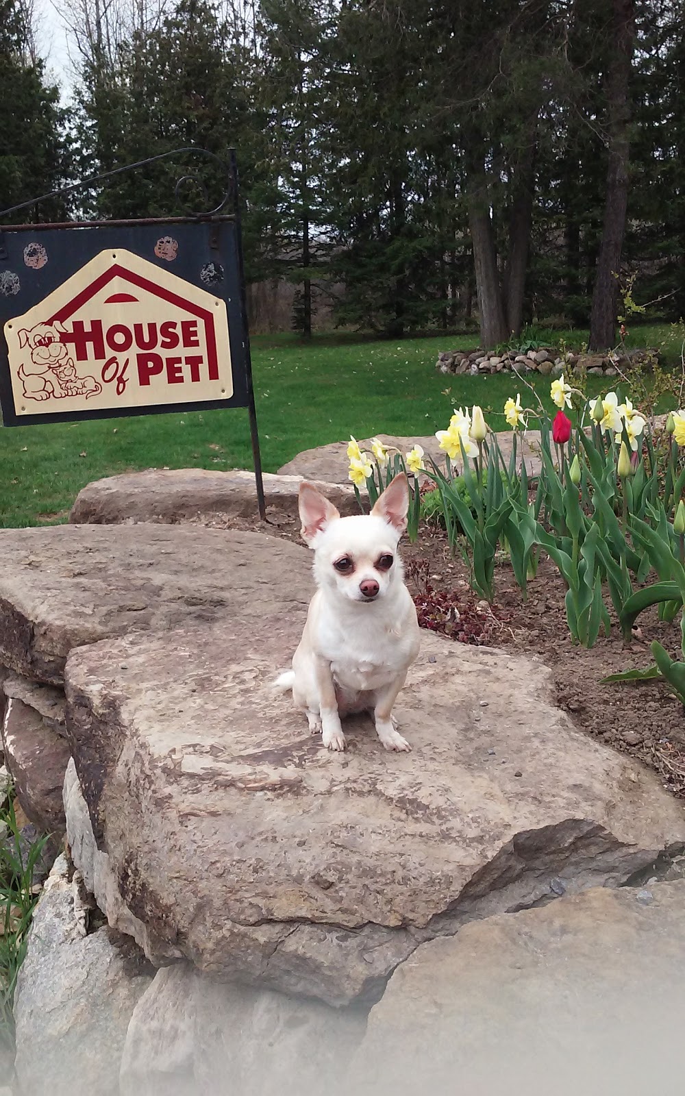 House Of Pet | 6105 Gough Rd, Manotick, ON K4M 0E2, Canada | Phone: (613) 521-3511