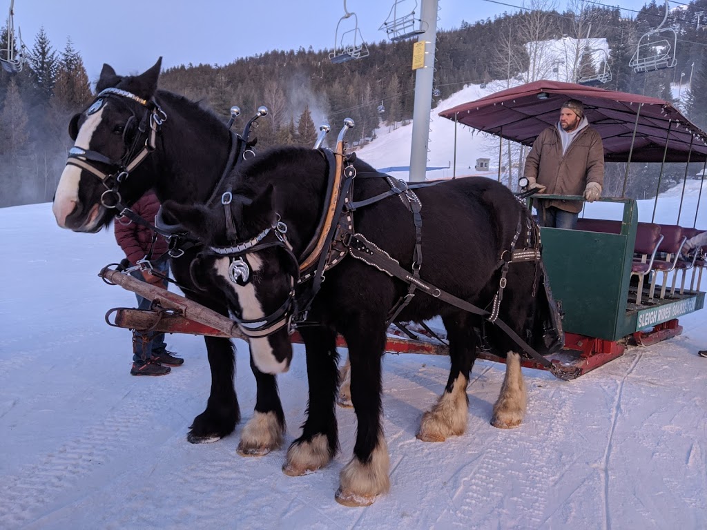 Blackcomb Sleigh Rides | 4890 Glacier Dr, Whistler, BC V0N 1B4, Canada | Phone: (604) 932-7631