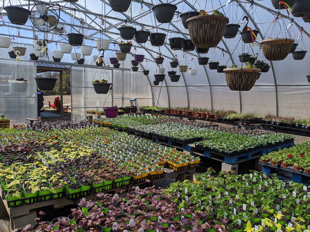 Farmer Browns Greenhouse | 371 Osborne Corner Rd, Dawson Settlement, NB E4H 2A6, Canada | Phone: (506) 734-1908