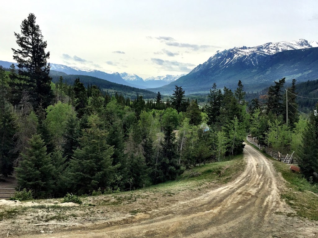 Skinner Creek Guest Ranch | 6775 Tatlayoko Rd, Tatlayoko Lake, BC V0L 1W0, Canada | Phone: (250) 476-1288