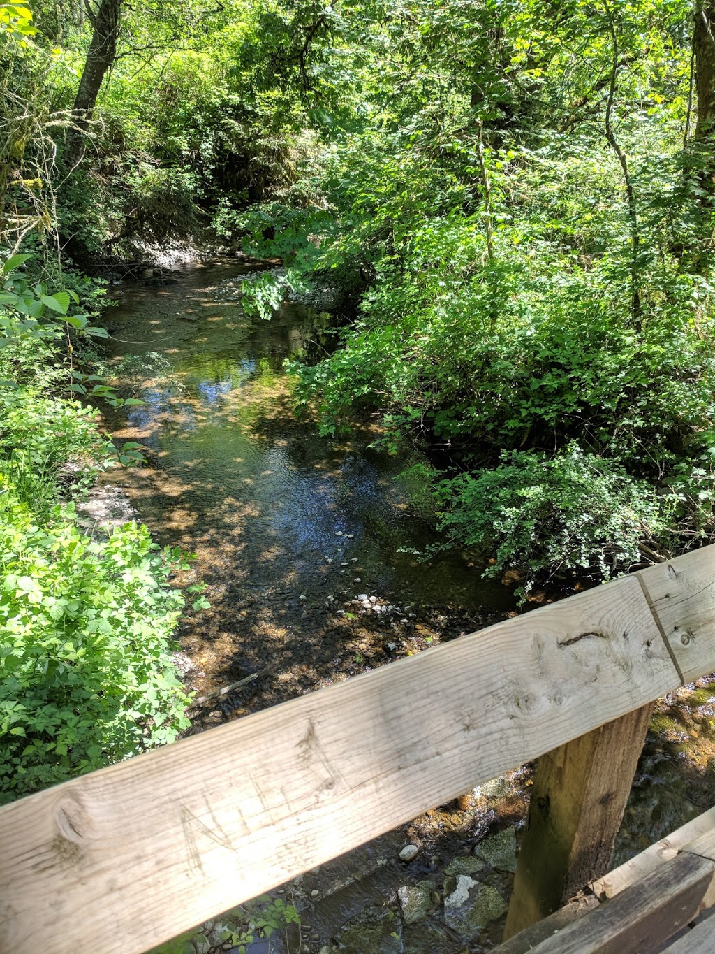 Birch Grove Hatchery Trail | Birch Grove Hatchery Trail, Surrey, BC V4N 2E2, Canada