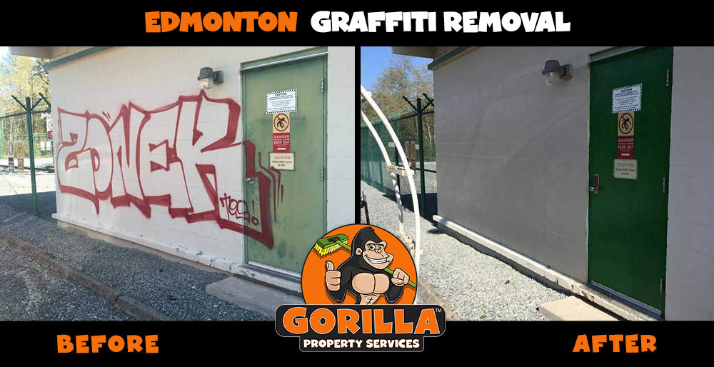 Gorilla Property Services | 14811 114 Ave NW #20, Edmonton, AB T5M 4E5, Canada | Phone: (780) 851-7213