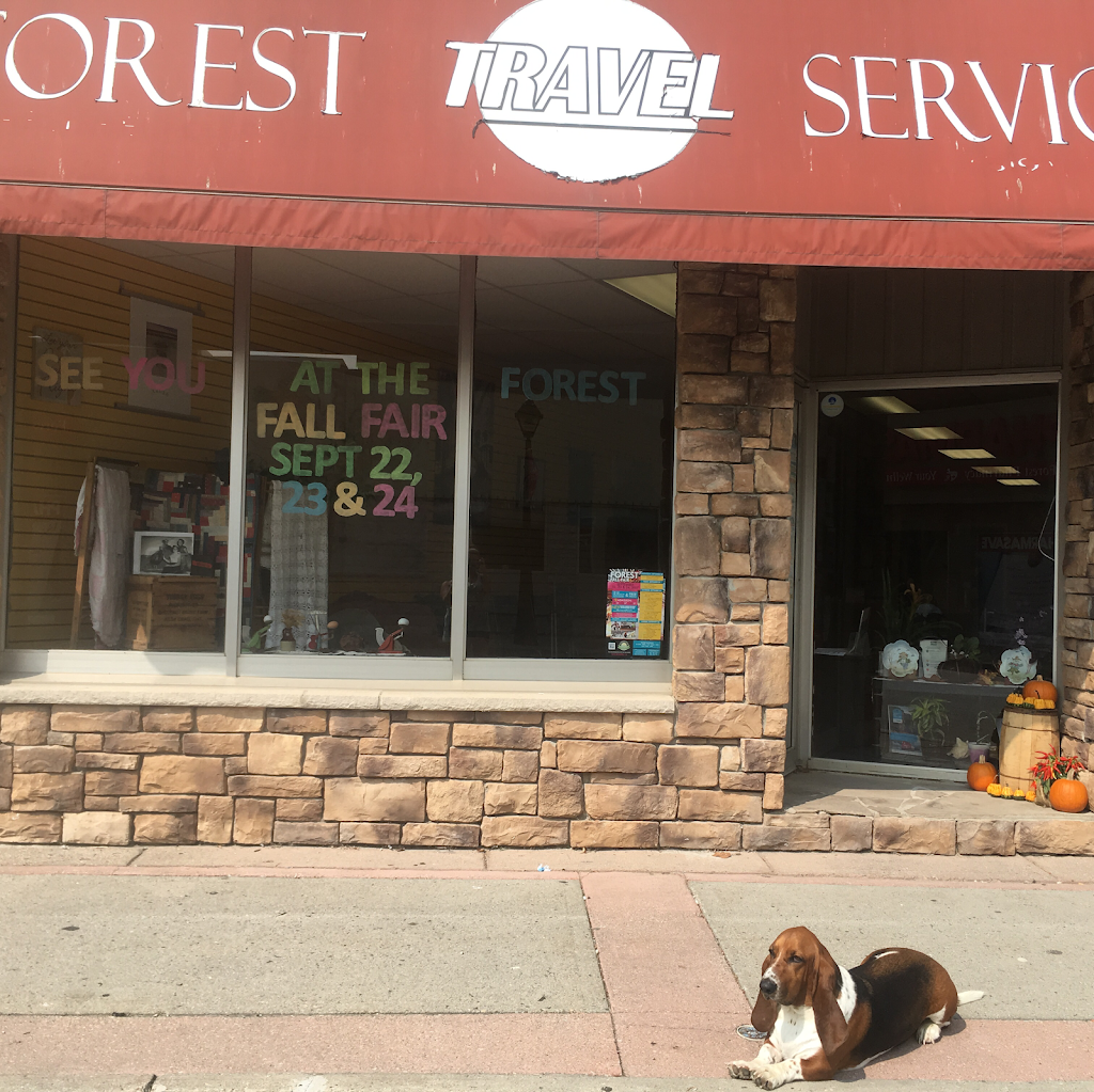 Forest Travel Service | 18 King St W, Forest, ON N0N 1J0, Canada | Phone: (519) 786-2319