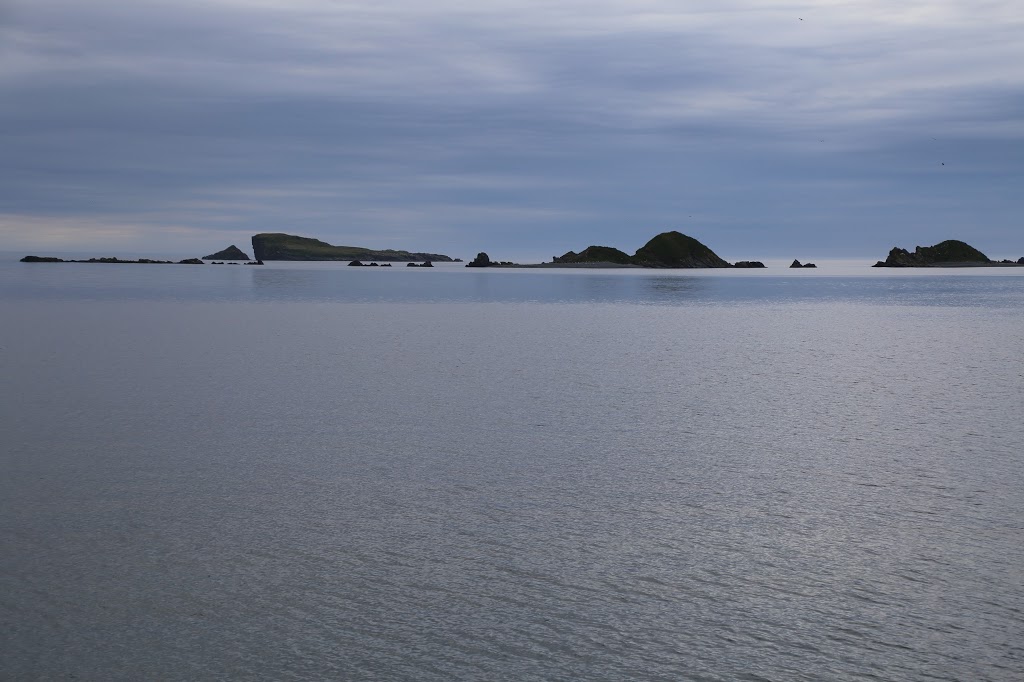 Colony of Avalon Gift Shop | Ferryland, NL A0A 1N0, Canada | Phone: (709) 432-3220