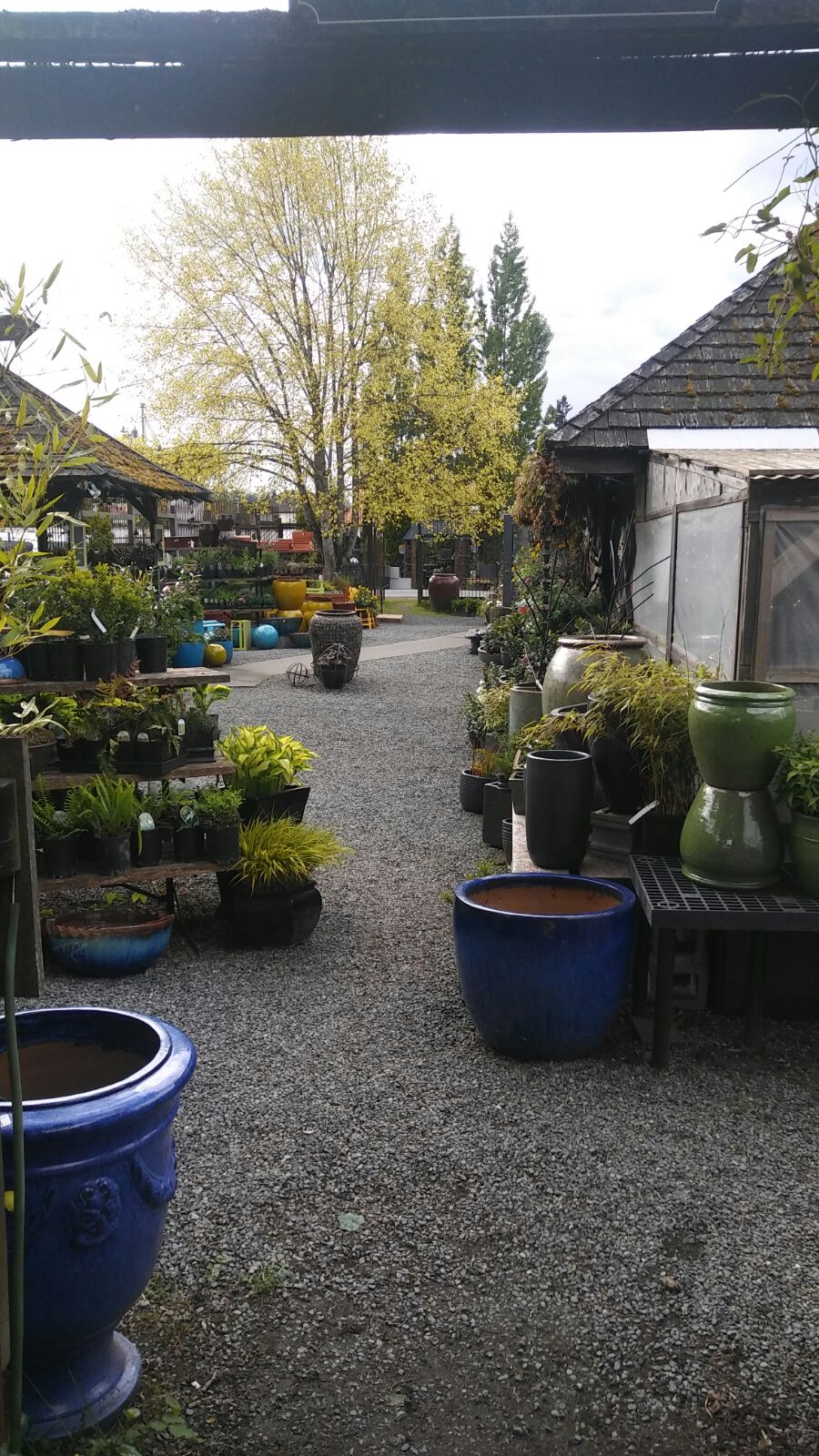 Old Farm Garden & Pottery Centre | 5174 Francis St, Koksilah, BC V0R 2C0, Canada | Phone: (250) 746-8734