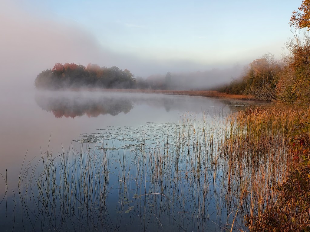 Woodland Priestess | 1268 Hughes Rd, Arden, ON K0H 1B0, Canada | Phone: (613) 240-4080