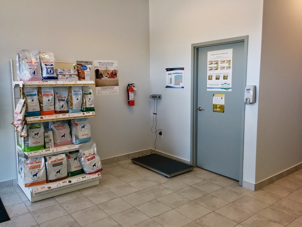 Strasburg Animal Hospital | 700 Strasburg Rd #12, Kitchener, ON N2E 2M3, Canada | Phone: (519) 569-8000