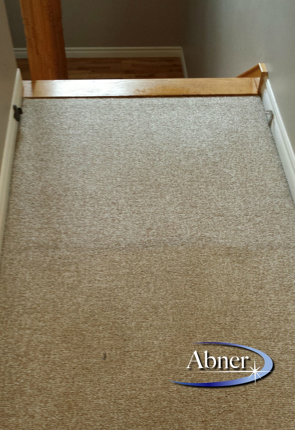 Abner Carpet & Upholstery Cleaning | 70 Armstrong Ct, Halifax, NS B3M 4P7, Canada | Phone: (902) 237-0638