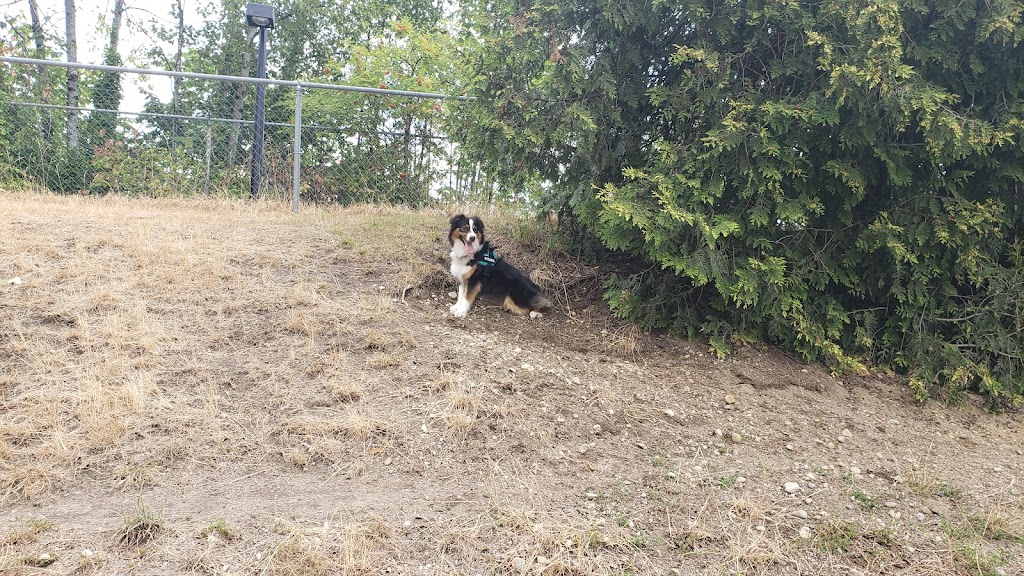 Hume Park Off-leash Dog Park | Brunette-Fraser Trail, New Westminster, BC V3L, Canada | Phone: (604) 526-4691