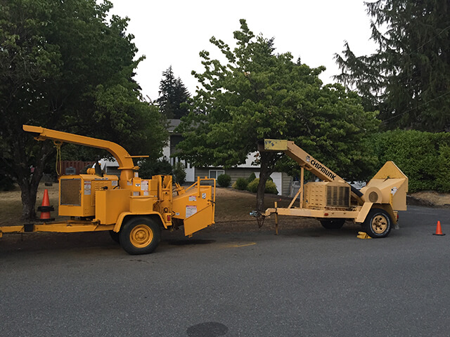 Vertical Tree Care | 632 Jadel Dr, Victoria, BC V9C 2L2, Canada | Phone: (250) 888-8790