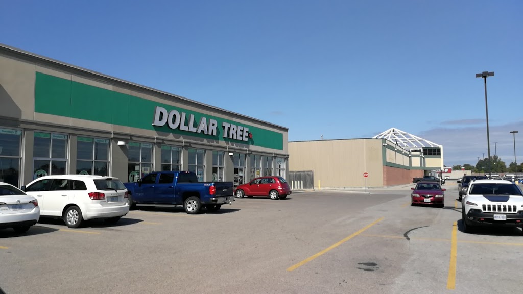 Dollar Tree | 60 McNaughton Unit 68- 1&2, Wallaceburg, ON N8A 1R9, Canada | Phone: (519) 627-7164