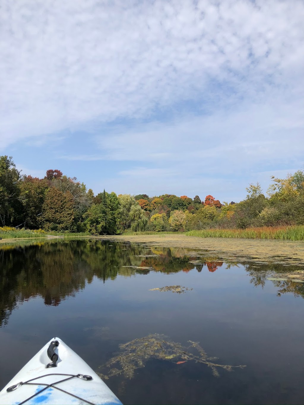 Riverview Kayaking | 59 Robinglade Ave, Seagrave, ON L0C 1G0, Canada | Phone: (905) 435-3814