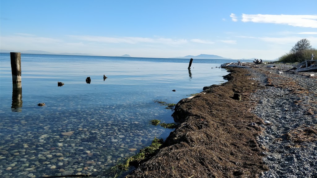 Lily Point Marine Reserve | Point Roberts, WA 98281, USA