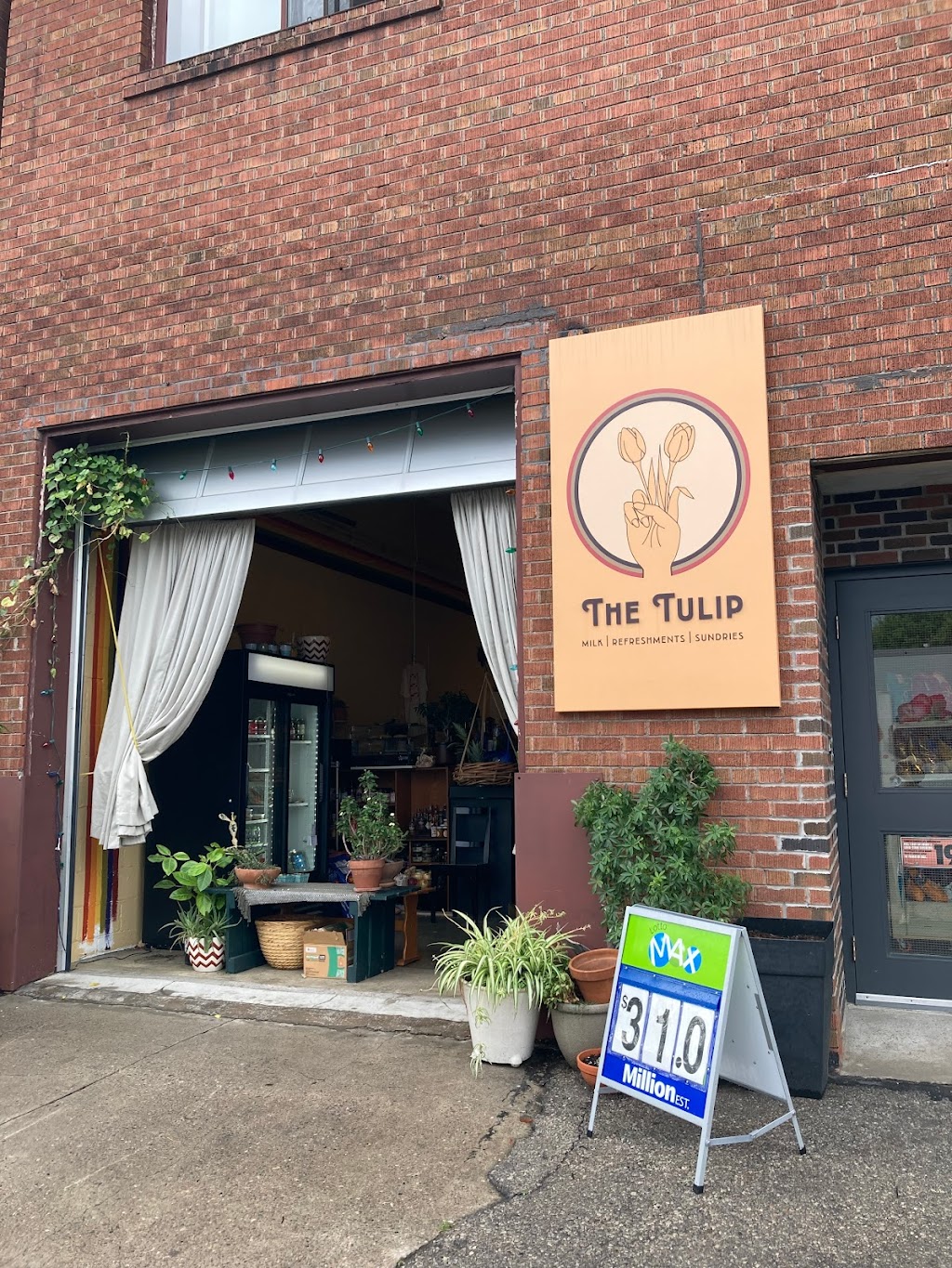 Tulip Variety | 340 Westmoreland Ave N, Toronto, ON M6H 3A7, Canada | Phone: (416) 792-7043