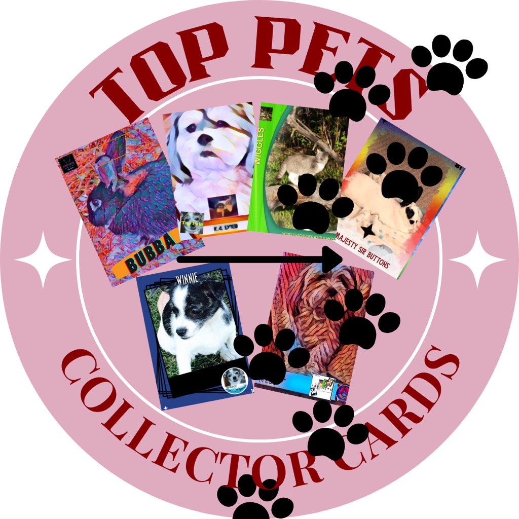 Top pets collector cards | 115 Prestwick Cir SE, Calgary, AB T2Z 0N1, Canada | Phone: (403) 815-4188