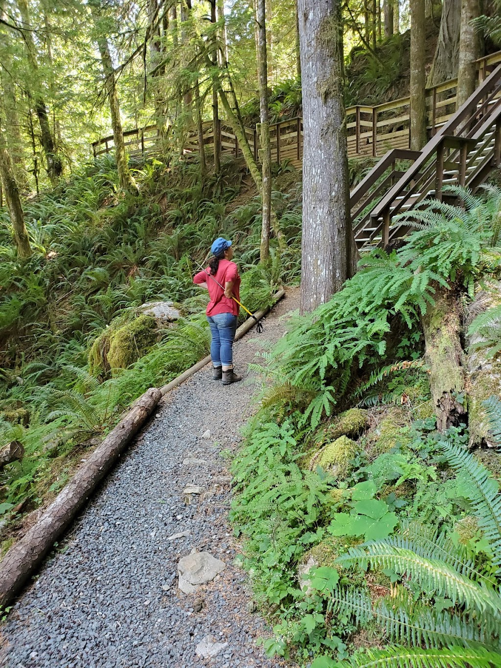 Horne Lake Caves | 3905 Horne Lake Caves Rd, Qualicum Beach, BC V9K 2L7, Canada | Phone: (250) 248-7829