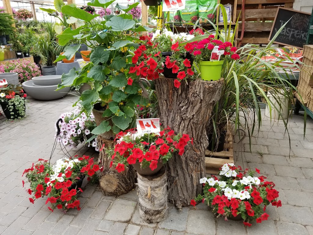 Jaspersons Greenhouse | 73107 Private, Provincial Road 236, Stonewall, MB R0C 2Z0, Canada | Phone: (204) 467-2081