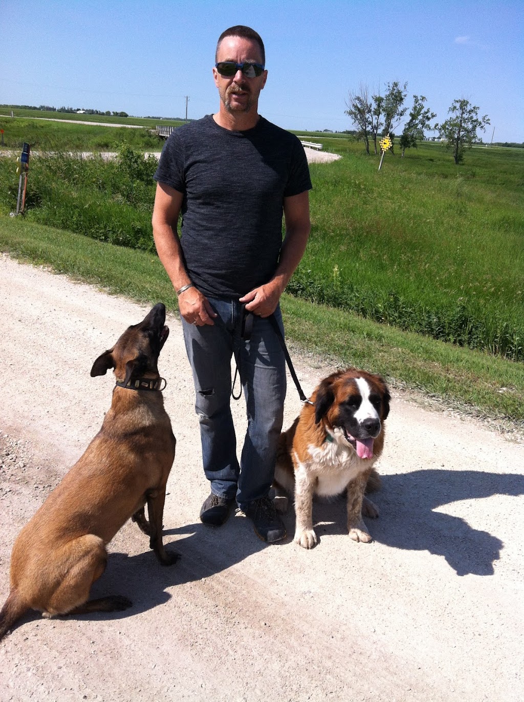 Diamond in the Ruff Kennels | 2 Miles West of Rosenort, Rosenort, MB R0G 1W0, Canada | Phone: (204) 746-2235