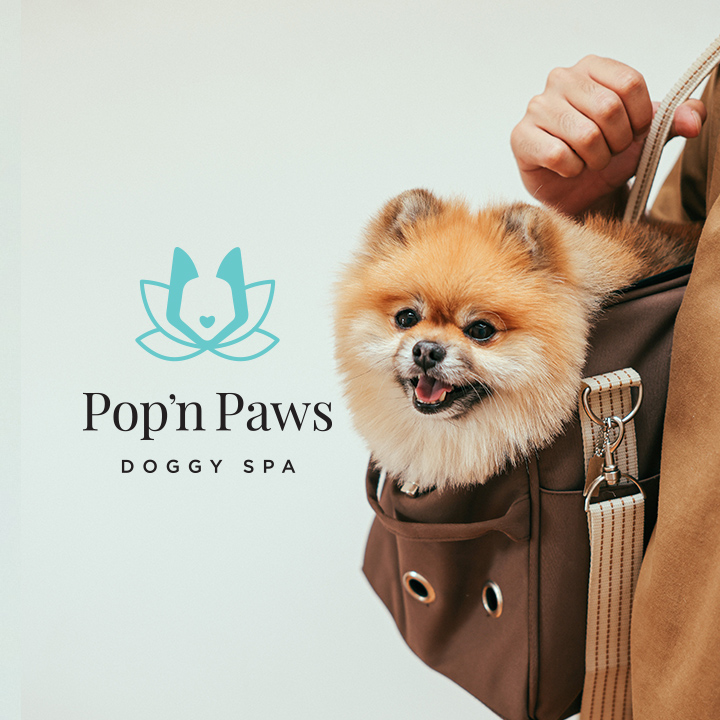 Popn Paws Doggy Spa | 1628 Agassiz-Rosedale Hwy, Agassiz, BC V0M 1A3, Canada | Phone: (672) 975-6456