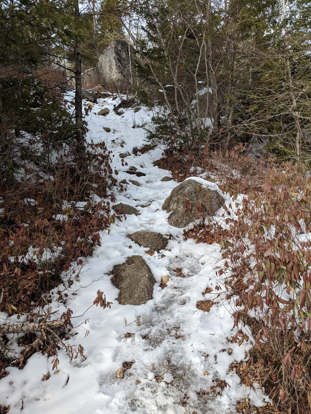 Musquodoboit Trailway trailhead | Musquodoboit Trailway, Musquodoboit Harbour, NS B3E 1J9, Canada