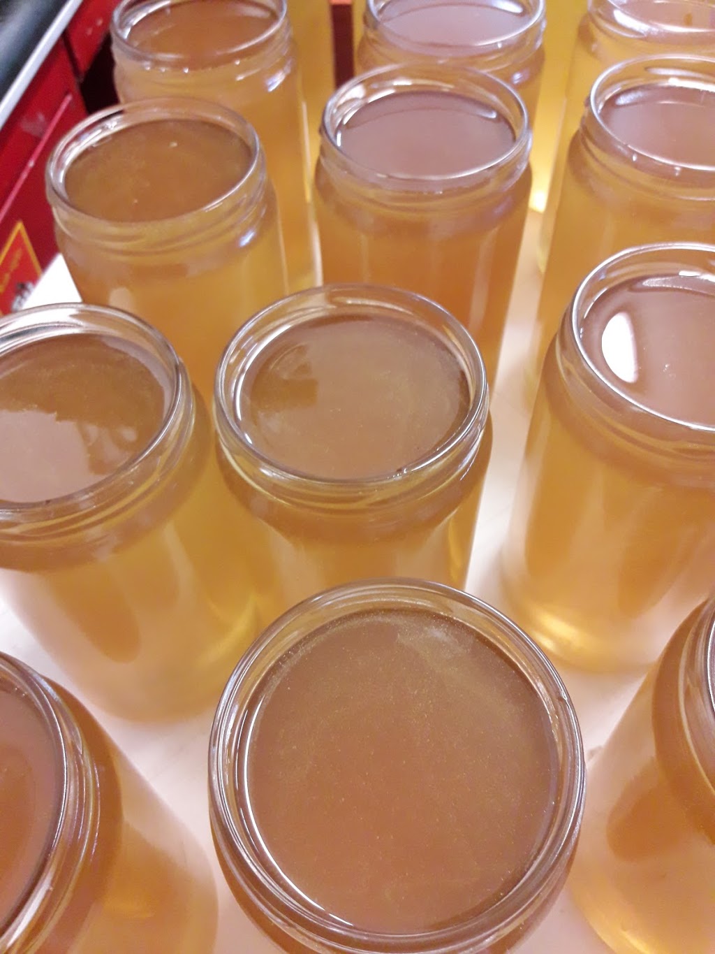 Eccles Apiaries Honey | 492554 Southgate SideRoad 49, Holstein, ON N0G 2A0, Canada | Phone: (519) 731-4235