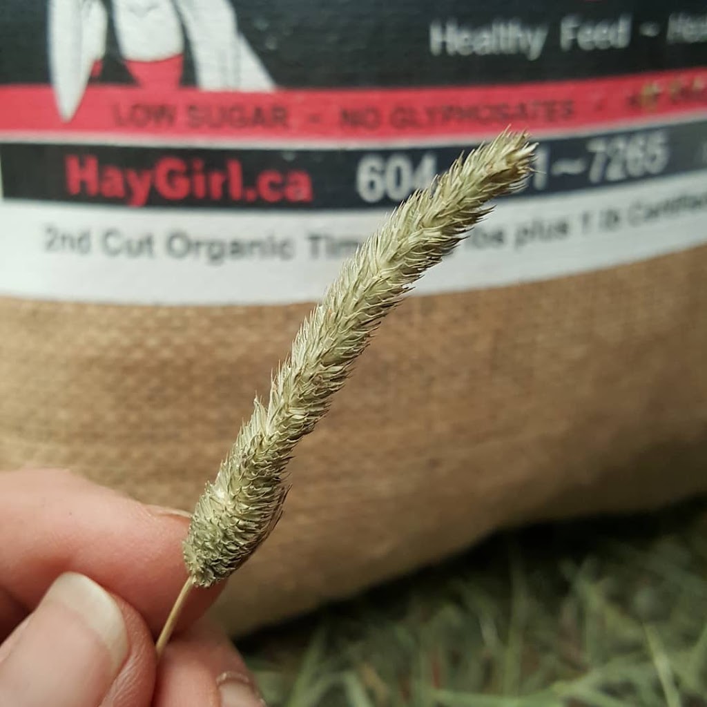 Hay...Girl! | 7180 68 St, Delta, BC V4K 4E2, Canada | Phone: (604) 961-7265