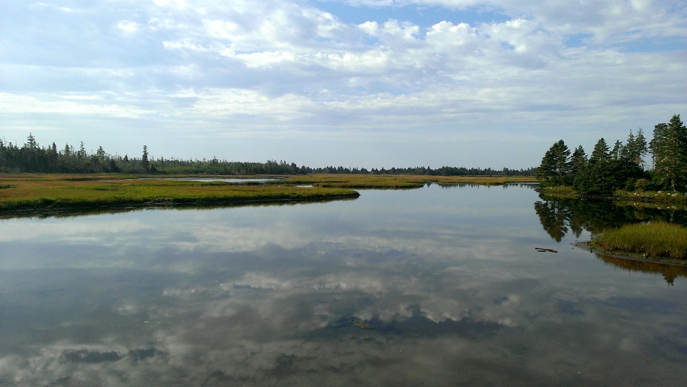 Abbecombec Marshes | Clam Bay, NS B0J 1Y0, Canada