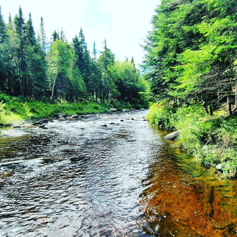 Les kayaks de La Rivière Sauvage | 345 Route Dostie, Saint-Romain, QC G0Y 1L0, Canada | Phone: (418) 486-2100