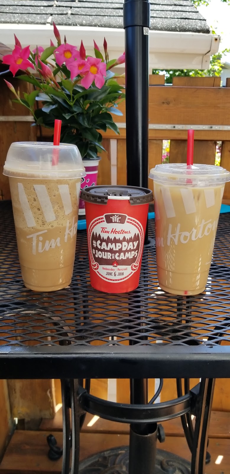 Tim Hortons | 22 Town Centre Blvd, Petawawa, ON K8H 0H1, Canada | Phone: (613) 687-9520