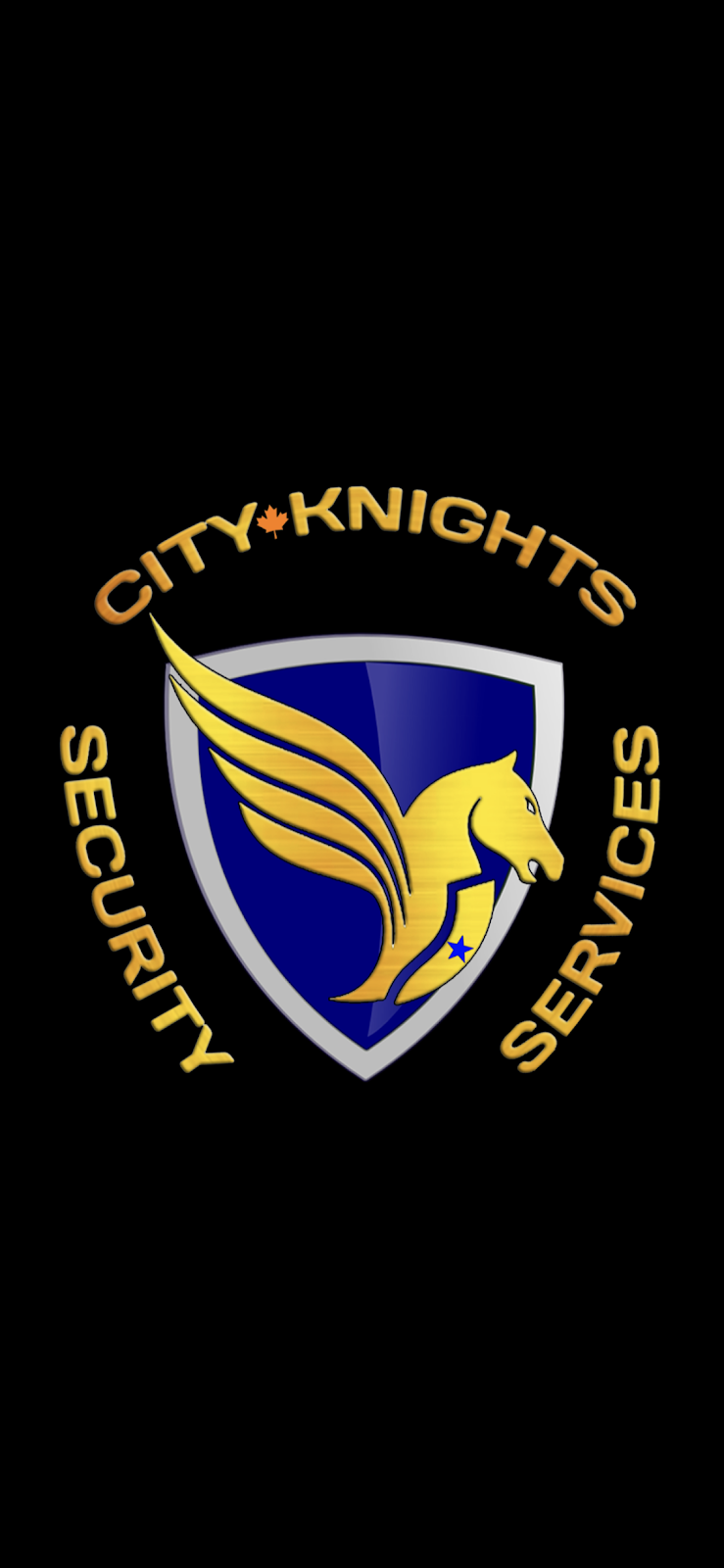 City knights security and Investigative services | 533 A Rosemeadow Crescent, Waterloo, ON N2T 2A1, Canada | Phone: (365) 778-2092