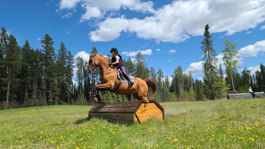 Prentice Creek Equestrian Centre | Clearwater County, AB T0M 0C0, Canada | Phone: (403) 846-8756