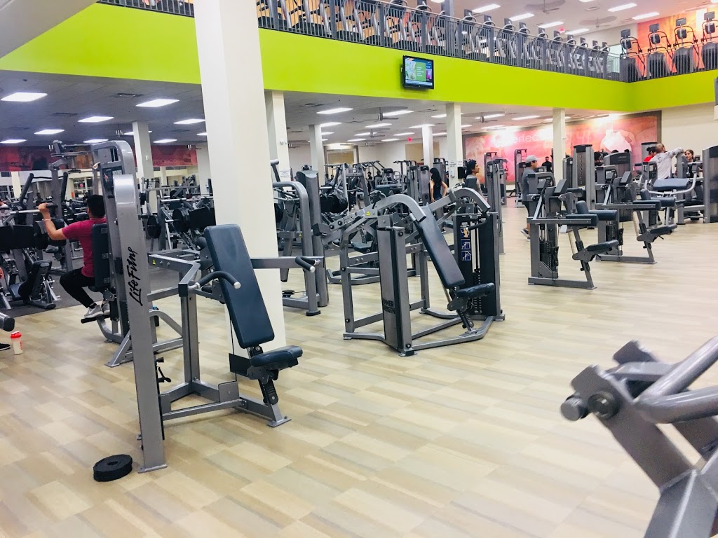 LA Fitness | 225 Fletchers Creek Blvd, Brampton, ON L6X 0Y7, Canada | Phone: (905) 454-1991