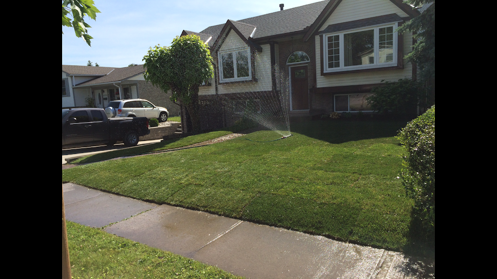 Team Green Lawn Care | 1403 Kottmeier Rd, Welland, ON L3B 5N5, Canada | Phone: (905) 321-4648