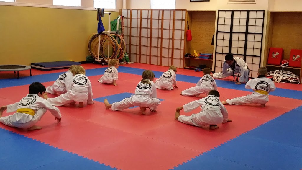 Black Tigers Tae Kwon Do | Needing building, 1001 Emo Dr, Thunder Bay, ON P7C 4W1, Canada | Phone: (807) 622-6833